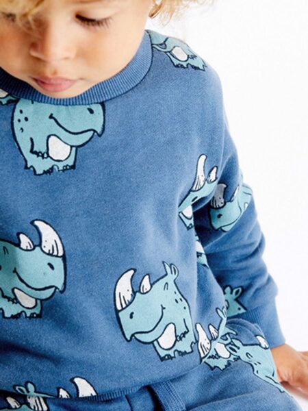 Kid Boy Rhinoceros Sweatshirt Wholesale